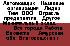 Автомойщик › Название организации ­ Лидер Тим, ООО › Отрасль предприятия ­ Другое › Минимальный оклад ­ 19 000 - Все города Работа » Вакансии   . Амурская обл.,Благовещенск г.